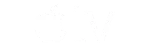 Brand Partner