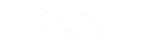 Brand Partner